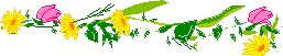bor.gif (2018 byte)
